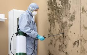 James Island, SC Mold Prevention & Removal  Company